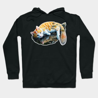 Cat Puddle Hoodie